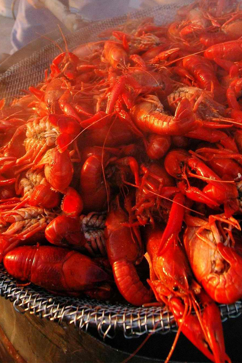 Cajun Recipe for Boiled Live Crawfish/Crayfish
