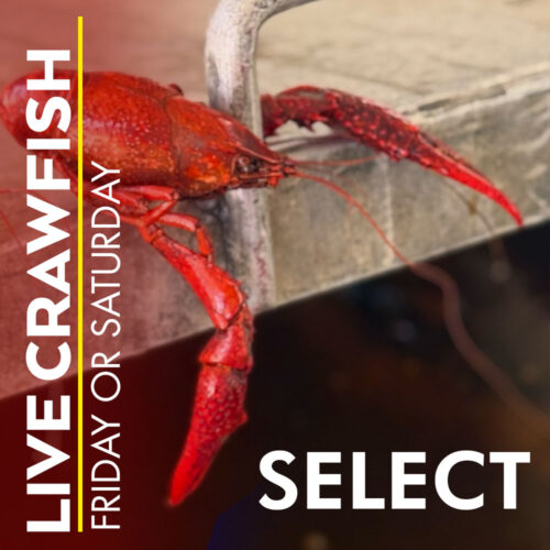 BUY LIVE CRAWFISH | CAJUN CRAWFISH COMPANY | Dallas' #1 Cajun Catering Company Since 1998