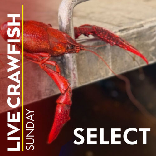 BUY LIVE CRAWFISH | CAJUN CRAWFISH COMPANY | Dallas' #1 Cajun Catering Company Since 1998
